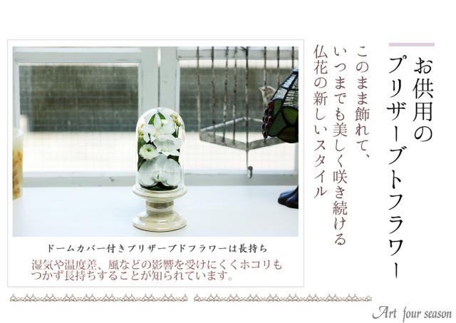 ホワイト