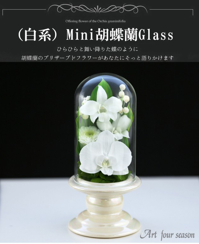 プリザーブドフラワー 仏花 新盆 初盆 【Mini胡蝶蘭 ミニGlass】 即日