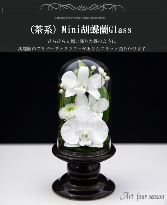 プリザーブドフラワー 仏花 新盆 初盆 【Mini胡蝶蘭 ミニGlass】 即日