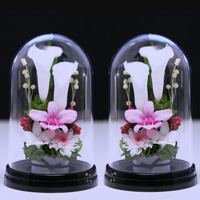 対ソフトピンク