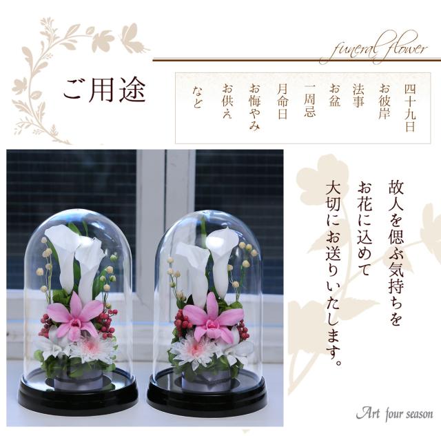 対ソフトピンク