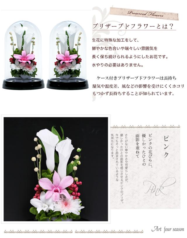 対ソフトピンク