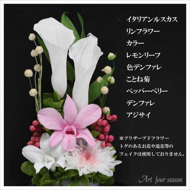 対ソフトピンク