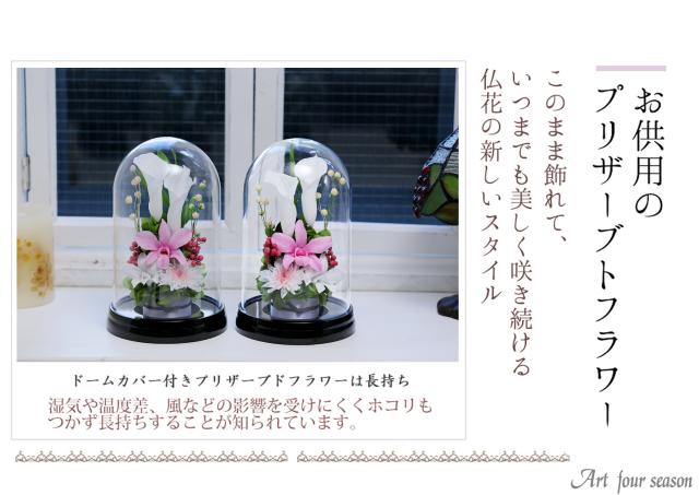 対ソフトピンク