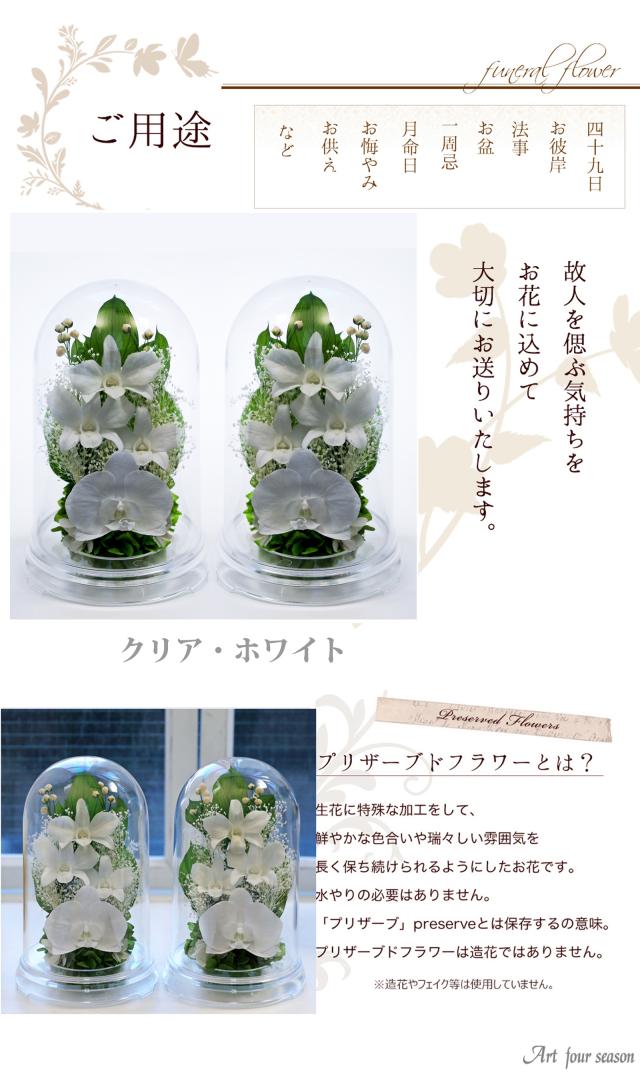 クリア・対ホワイト