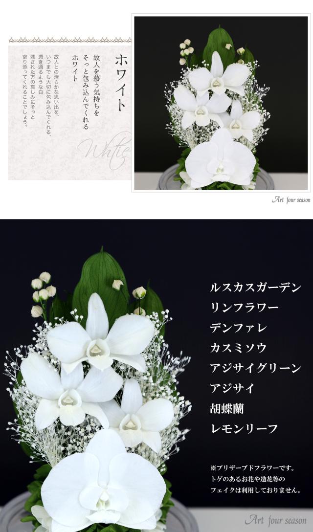 クリア・対ホワイト