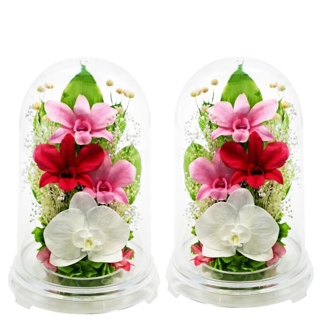 クリア・対ピンク