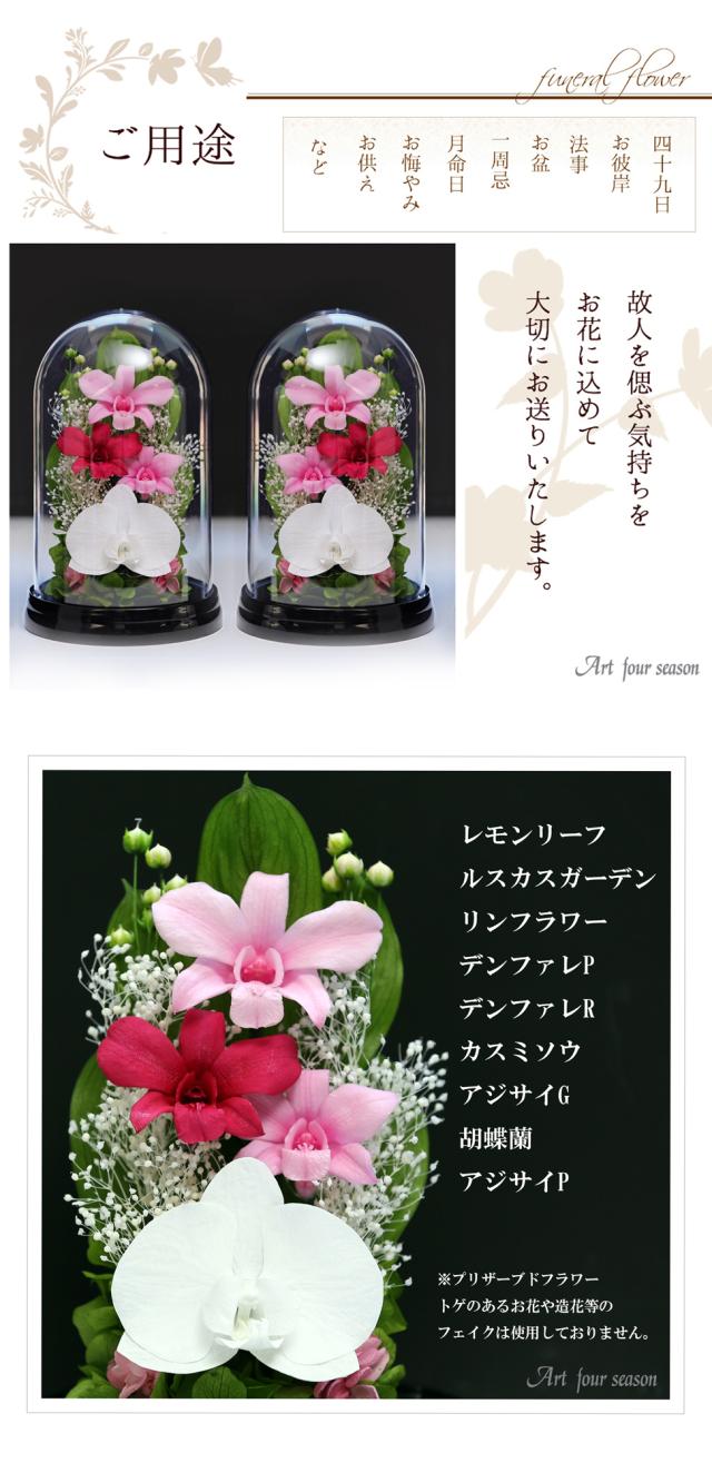 黒・対ピンク