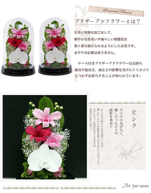 黒・対ピンク