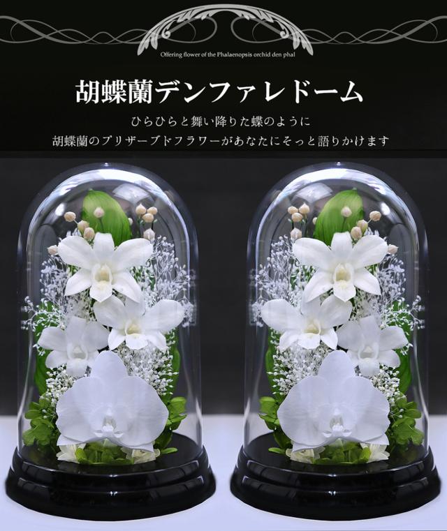 黒・対ホワイト