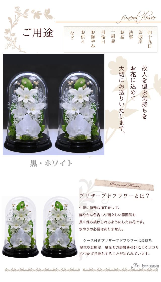 黒・対ホワイト