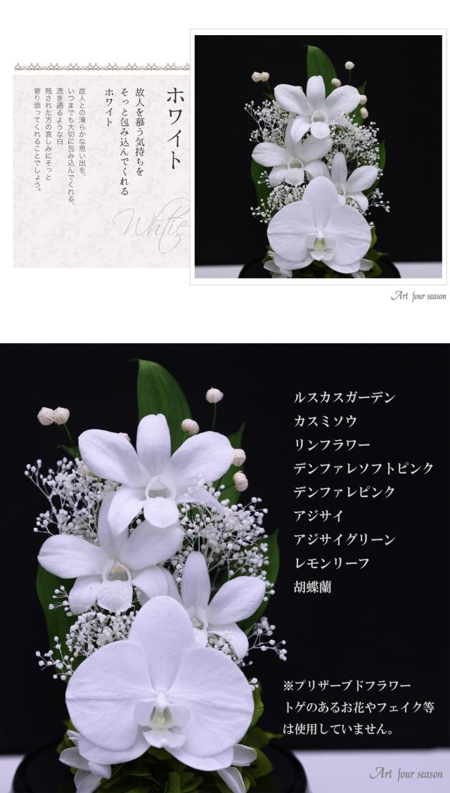 黒・対ホワイト