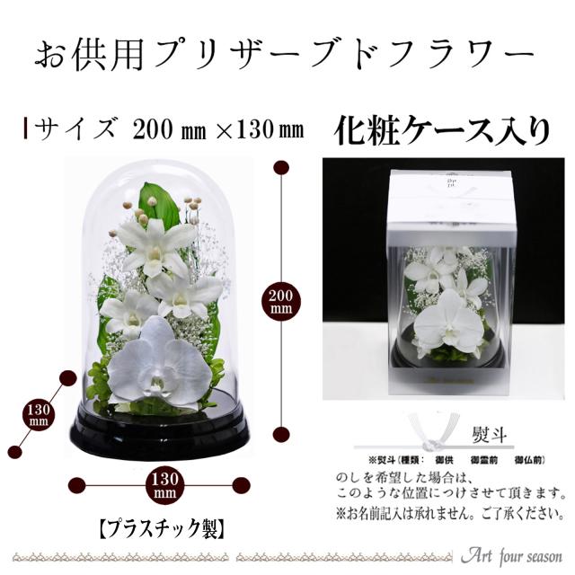 黒・対ホワイト