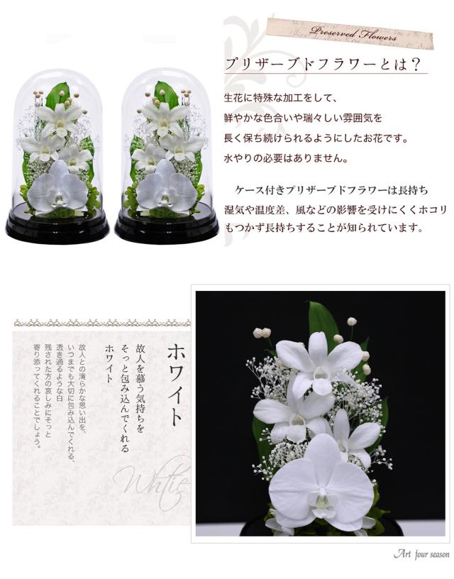 黒・対ホワイト