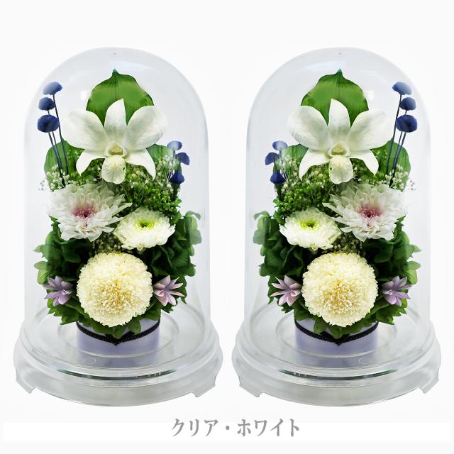 クリア・対ホワイト