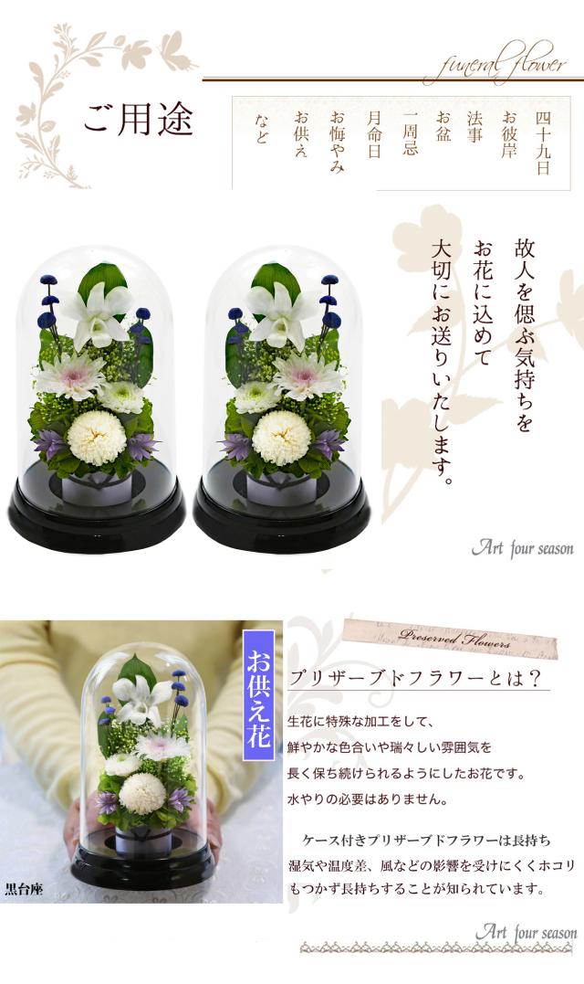 黒・対ホワイト