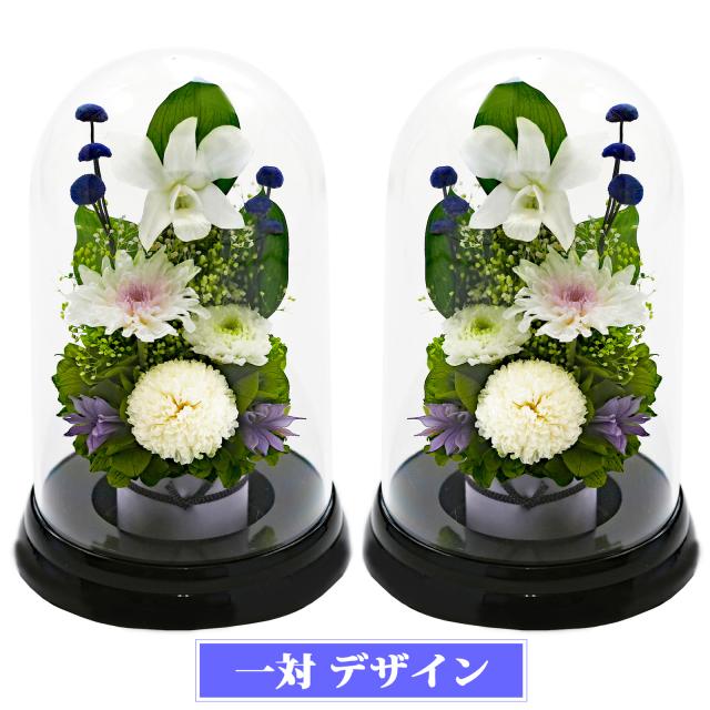 黒・対ホワイト