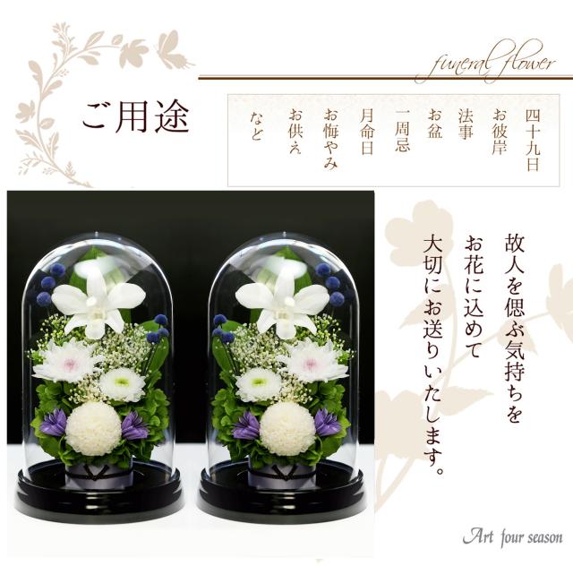 黒・対ホワイト