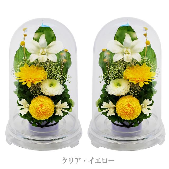 クリア・対イエロー