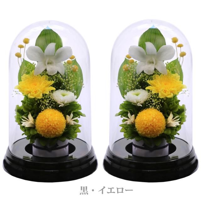 黒・対イエロー