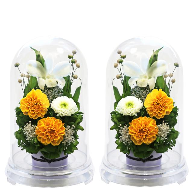 クリア・対イエロー