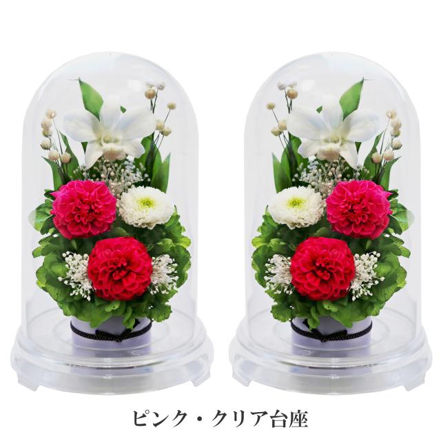 クリア・対ピンク