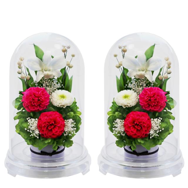 クリア・対ピンク