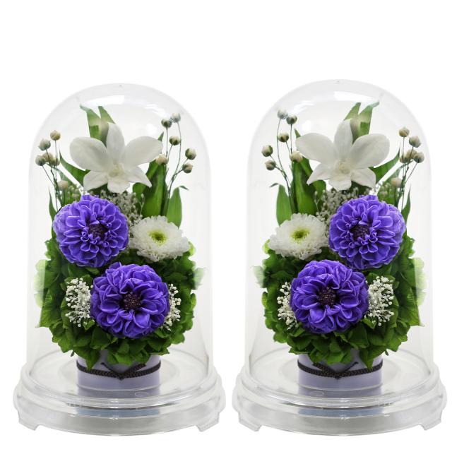 クリア・対リラ