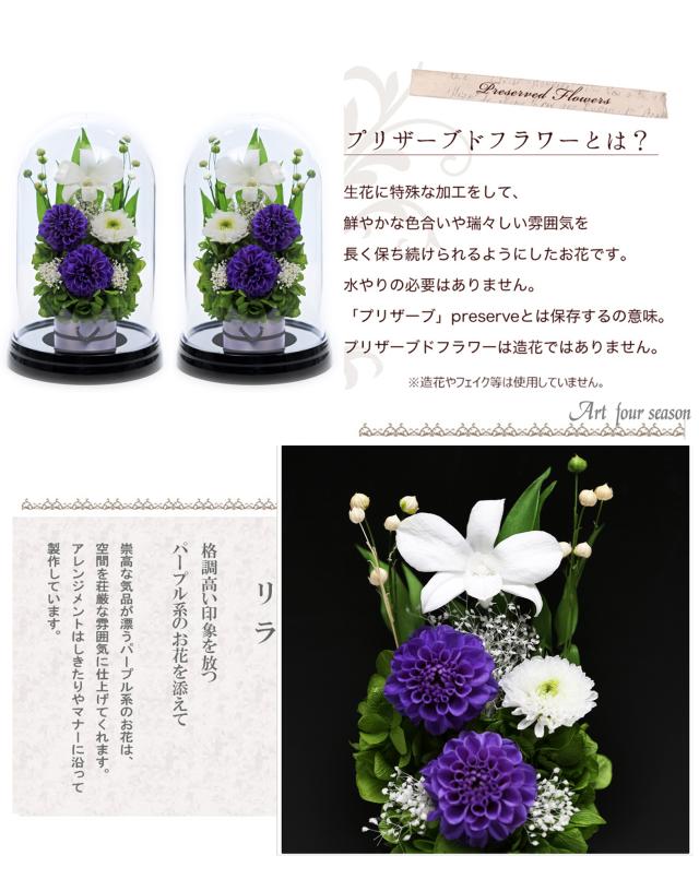 黒・対リラ