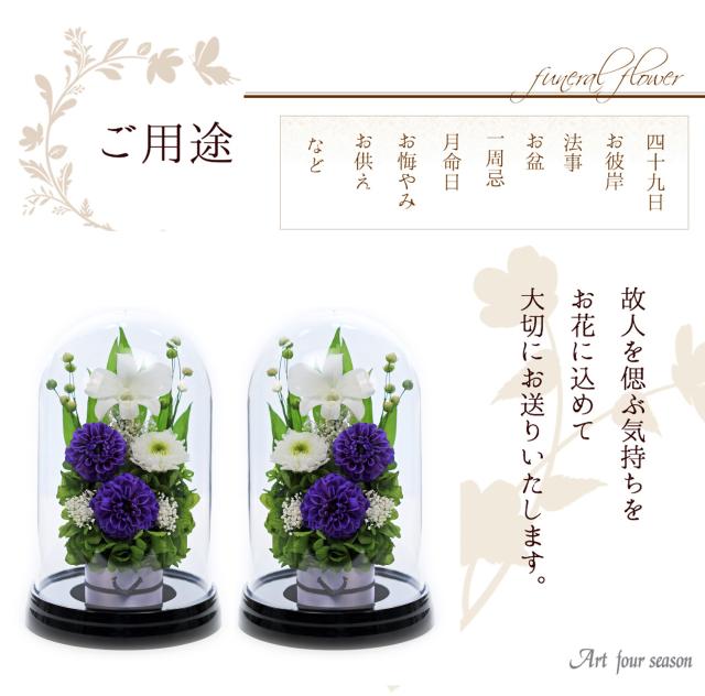 黒・対リラ
