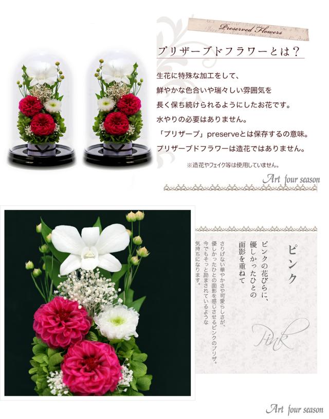黒・対ピンク