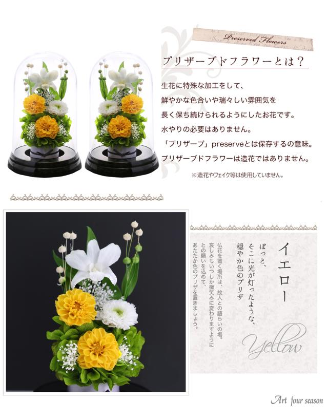 黒・対イエロー