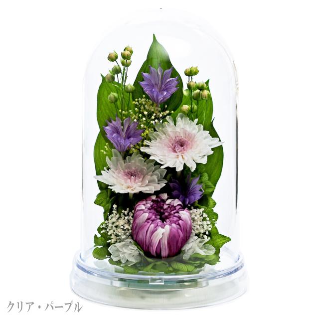 クリア・パープル