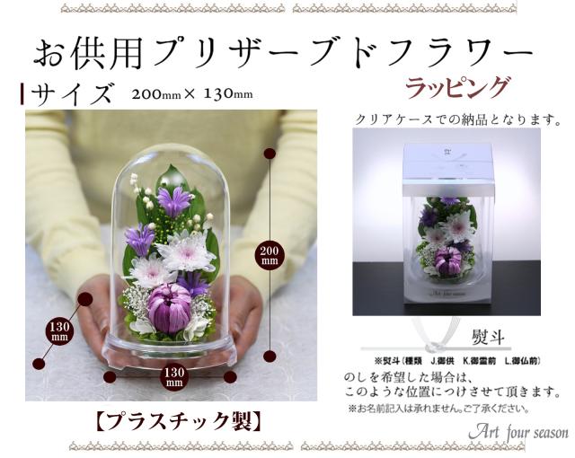 クリア・対パープル