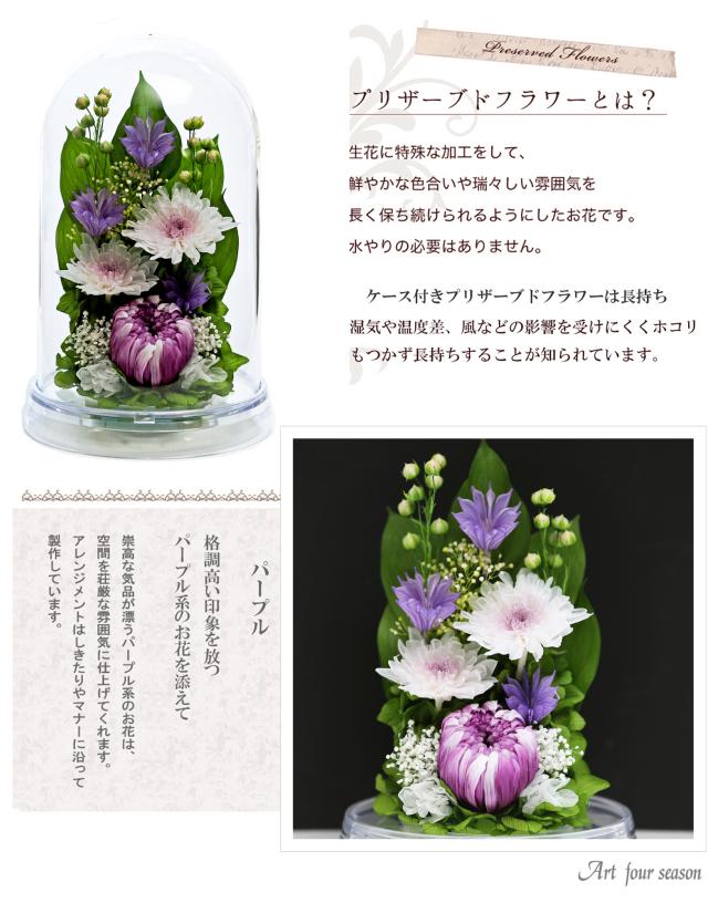 クリア・パープル