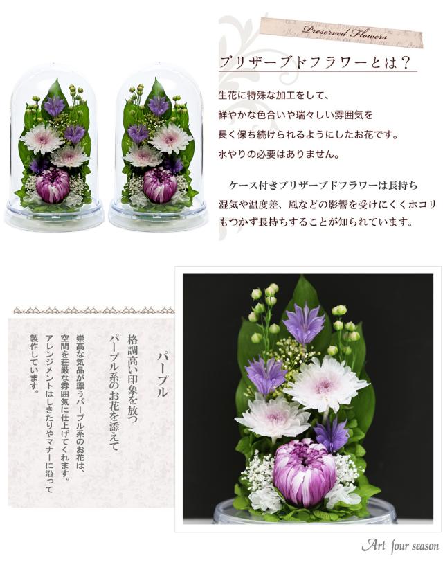 クリア・対パープル