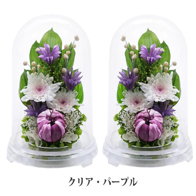 クリア・対パープル