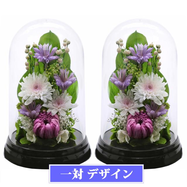 黒・対パープル