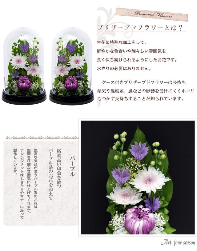 黒・対パープル