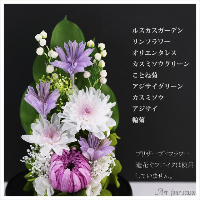 黒・対パープル
