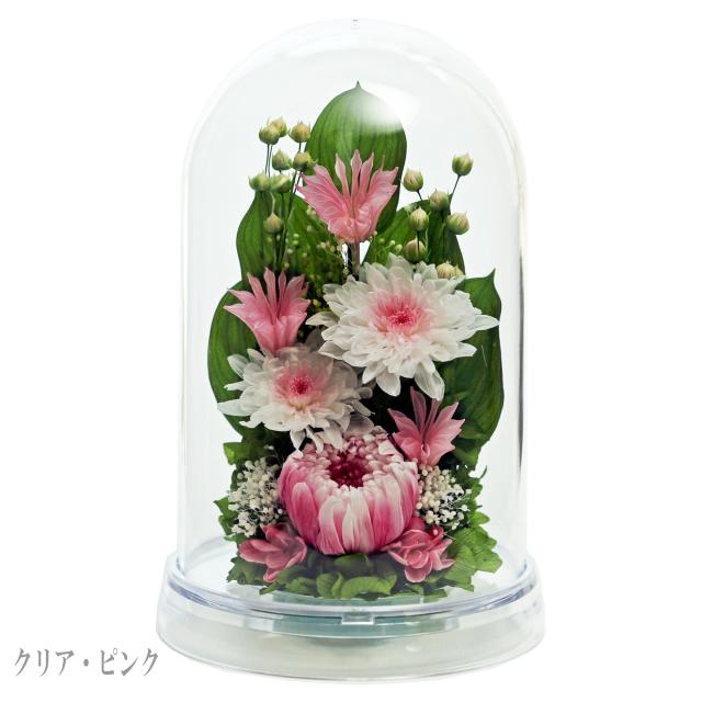 クリア・ピンク