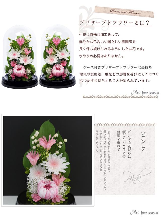黒・対ピンク