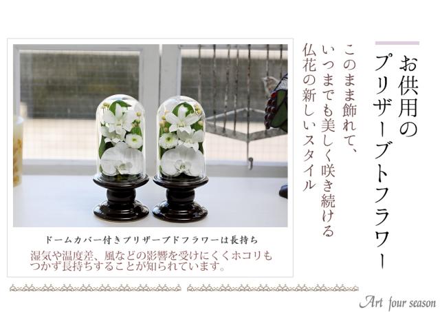 ホワイト