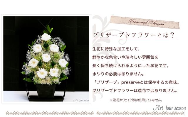 3号サイズ 輪ギク