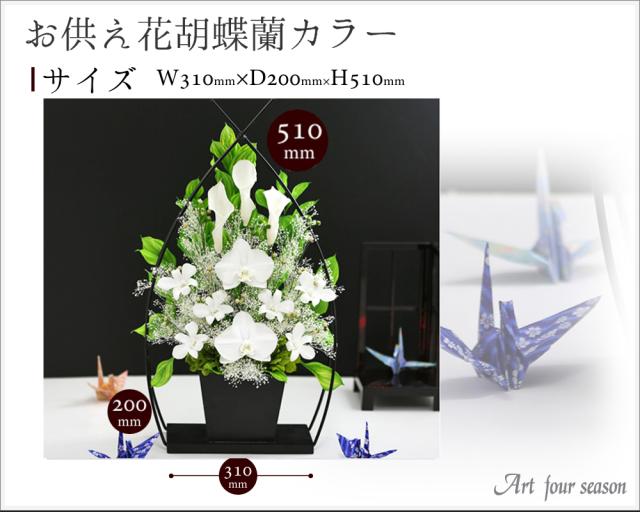 寸法　お供え花胡蝶蘭カラー