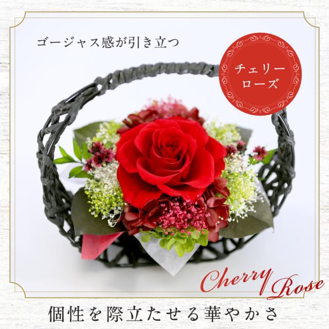 チェリー