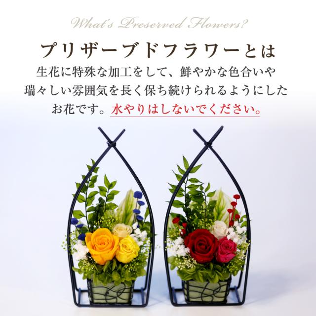 オレンジ・チェリー