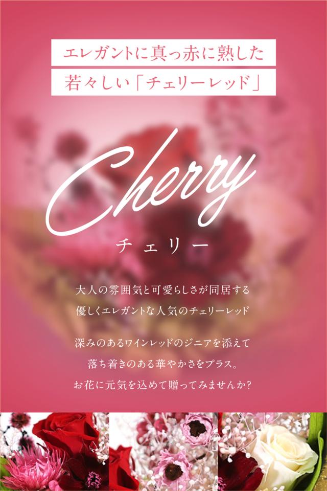 チェリー