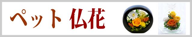 仏花　ペット