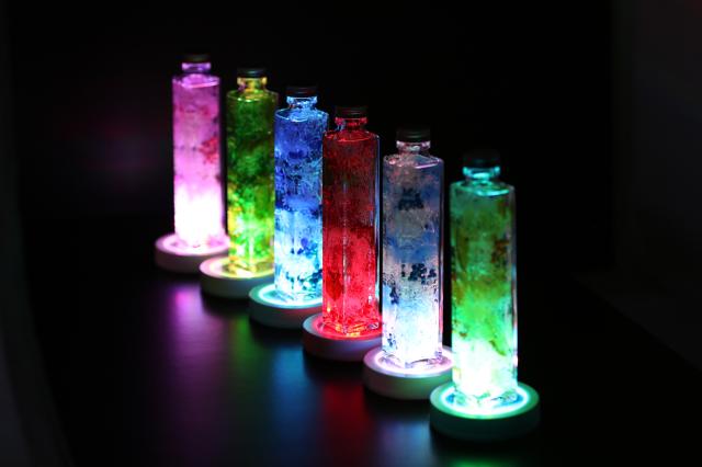 ＬＥＤハーバリウム